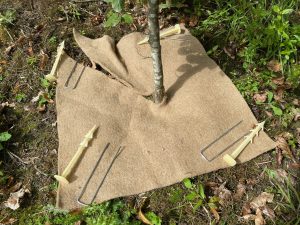 New Bio Mat