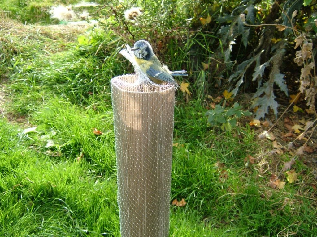 Anti Bird Tube Net Tops-0