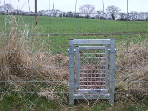 Badger Gate-0