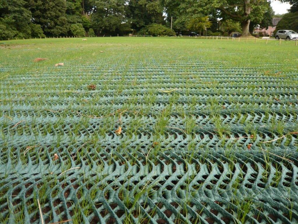 Grass Reinforcement / Parking Mesh - Light - GP Flex 1000 - 2m x 20m-15659